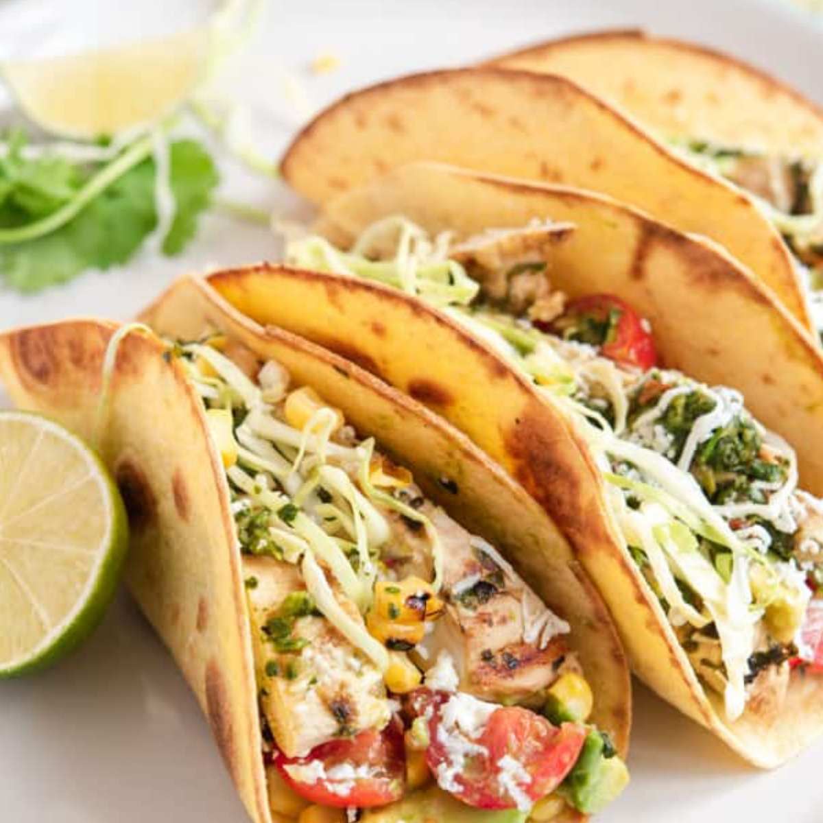 Tacos poulet chimichurri