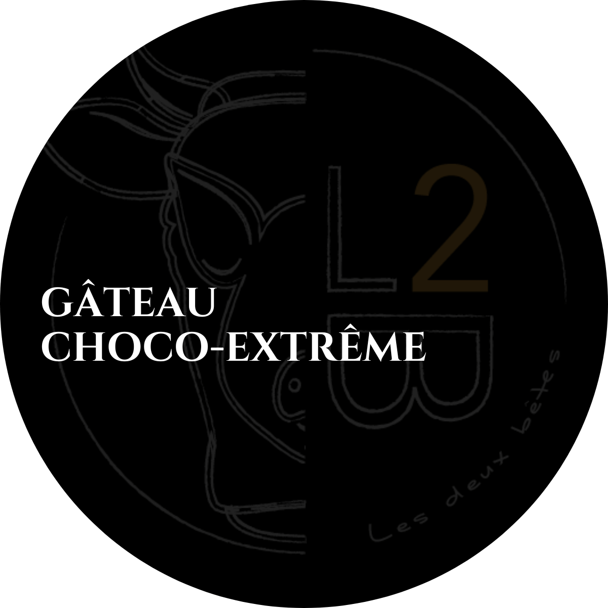 Dessert - Gâteau Choco - Extrême - lesdeuxbetes